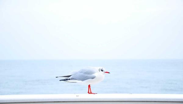 马拉松起源